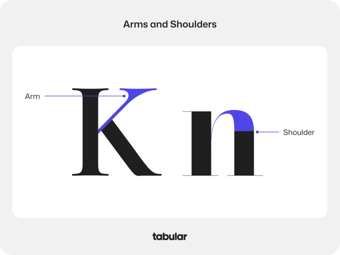 Typography concepts "arm" and "shoulder."